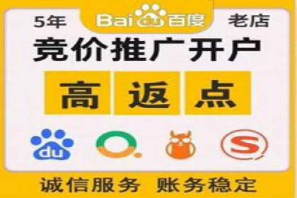 百度竞价广告的投放技巧及优化方法——以某品牌为例